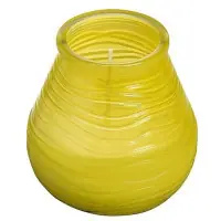 Bolsius Patiolight Citronella | Łatwe zamówienie