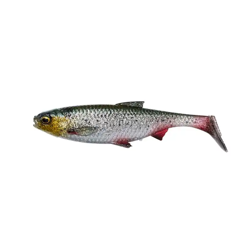 3D RIVER ROACH - GREEN SILVER - 10cm | Megacena