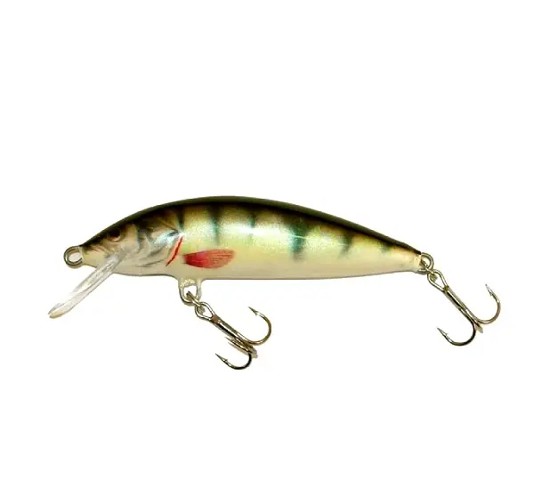 CLASSIC - F - P - 5cm | Nowość w sklepie