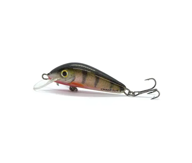 CHAMPION - S - 4,2cm | Hit sprzedażowy